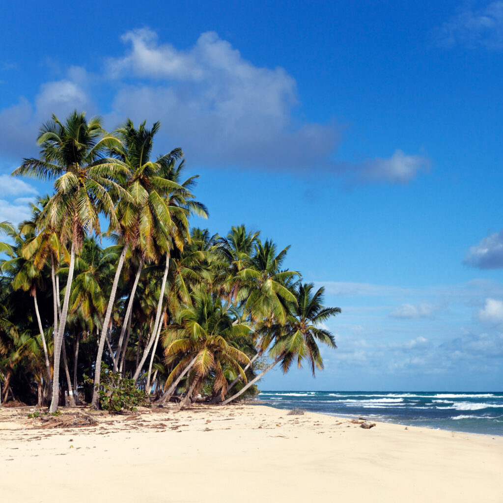 Praia deserta de areia branca com coqueiros e mar azul-turquesa